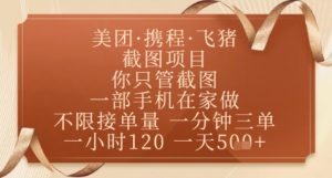 飞猪美团截图项目，你只管截图，一部手机在家做，正规平台无套路，一天5张+【揭秘】-润泽资源库