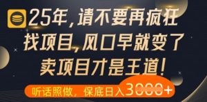 什么？25年你还在疯狂找项目做，醒醒吧，看完这些你全都懂了【揭秘】-润泽资源库