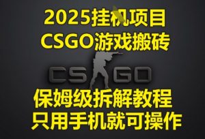 2025挂G项目，CSGO游戏搬砖，保姆级拆解教程，只用手机就可操作【揭秘】-润泽资源库