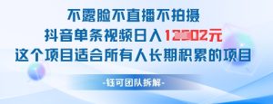 不露脸不直播不拍摄抖音单条视频日入1k+这个项目适合所有人长期积累的项目-润泽资源库
