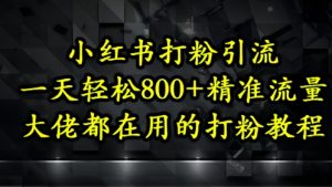 小红书打粉引流，一天轻松500+精准流量，大佬都在用的打粉教程-润泽资源库