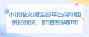 小说推文搬运多平台简单粗暴的玩法，听话照做即可-润泽资源库