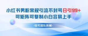 小红书男粉常规引流不封号日引99+变现简单 可矩阵可复制小白容易上手-润泽资源库
