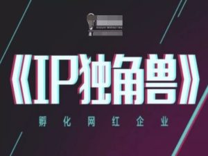 IP独角兽,孵化网红企业,ip教程-润泽资源库