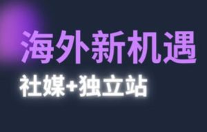 2025出海新机遇(社媒+独立站)，海外新机遇，实现独立站的高效运营与出海-润泽资源库