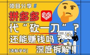 【2025最新】拼多多代坎助力项目深度拆解:还能挣钱吗?全流程玩法-润泽资源库