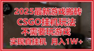 2025最新游戏搬砖,CSGO挂G,不需要玩游戏,实现真挂G,月入1W+【揭秘】-润泽资源库