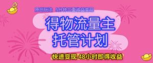 得物流量主托管计划,原创玩法,5分钟三重收益变现,快速变现,48小时即得收益【揭秘】-润泽资源库