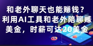 和老外聊天也能挣钱？利用AI工具和老外陪聊挣美金，时薪可达20刀-润泽资源库