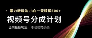 视频号分成计划，全网最暴力玩法，新手一天也能轻松5张+-润泽资源库