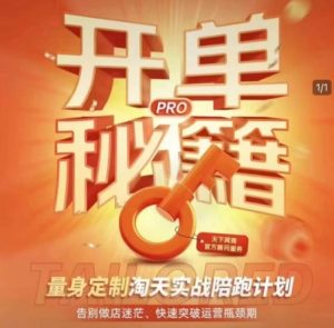 淘宝开单秘籍PRO,量身定制淘天实战陪跑计划,告别做店迷茫、快速突破运营瓶颈期(更新)-润泽资源库
