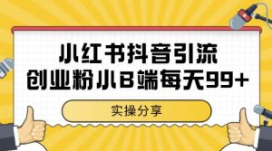 小红书抖音创业粉，小B端粉自热，日引99+的一个玩法【揭秘】-润泽资源库