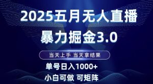 2025五月无人直播暴力掘金3.0，当天上手，当天拿结果，单号日入1k+小白可做可矩阵【揭秘】-润泽资源库