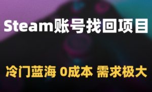 Steam账号找回项目，冷门蓝海，0成本，需求极大-润泽资源库