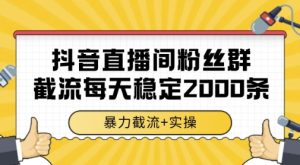 抖音直播间粉丝群暴力截流，一台电脑每天稳定2000条数据，暴力截流+实操 【揭秘】-润泽资源库
