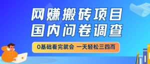 网创搬砖项目，国内问卷调查，小白轻松上手，一天三四张的也不难，干就完了【揭秘】-润泽资源库