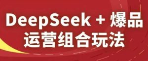 DeepSeek+爆品运营组合玩法，2025淘系精品课-润泽资源库