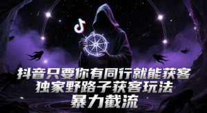 抖音只要你有同行就能获客，独家野路子获客玩法，暴力截流【揭秘】-润泽资源库