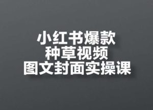 小红书爆款种草视频图文封面实操课,开店、选品、引流、变现全流程-润泽资源库