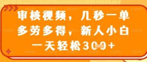 视频审核员，几秒一单，不限时间，不限地点，多做多得，新人小白一天轻松几张+【揭秘】-润泽资源库