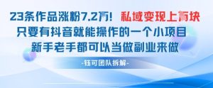 抖音私域项目23条作品涨粉7.2W，私域变现1W-润泽资源库