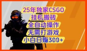 25年独家CSGO挂G搬砖,全自动操作,无需打游戏,小白日入3张+【揭秘】-润泽资源库