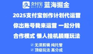 2025支付宝创作者分成计划代运营,纯托管,高分成,合作模式【揭秘】-润泽资源库