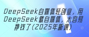 DeepSeek自媒体轻创业，用DeepSeek做自媒体，太容易挣钱了(2025年新课)-润泽资源库