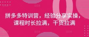 拼多多特训营,经验分享实操,课程时长拉满,干货拉满(更新25年4月)-润泽资源库