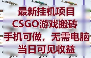 最新挂G项目，CSGO游戏搬砖，手机可做，无需电脑，当日见收益【揭秘】-润泽资源库