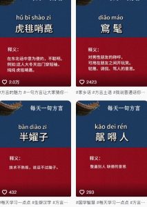 抖音最新涨粉玩法，图文方言暴力涨粉实操，126作品涨粉11W-润泽资源库