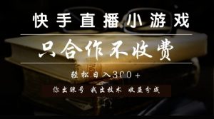 快手直播小游戏，只合作不收费，你出账号我出技术， 分润模式【揭秘】-润泽资源库