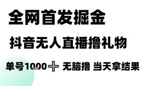 全网首发掘金抖音无人直播撸礼物，单号1k +无脑撸，当天拿结果【揭秘】-润泽资源库