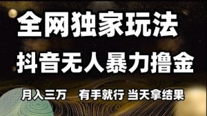 全网独家玩法抖音无人暴力撸金，月入3W，有手就行，当天拿结果【揭秘】-润泽资源库