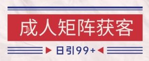 小红书某音橙人赛道引流获客，自热矩阵日引200+【揭秘】-润泽资源库
