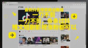 最新抖音搜索搬运教程，一刀不剪，条条过抖，推文短剧影视涨粉都可以-润泽资源库