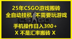 25年CSGO游戏搬砖，全自动运行，不需要玩游戏，手机操作日入3张(不是汇率搬砖)【揭秘】-润泽资源库