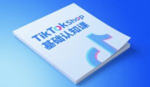 TikTok小店基础认知课,助力学员从 0 到 1 掌握 TikTok 电商运营全链路认知-润泽资源库
