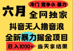 25年6月高爆抖音无人直播最新撸音浪掘金项目，小白可做，无脑日入1k+，门槛低可批量矩阵【揭秘】-润泽资源库