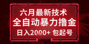 六月最新技术全自动暴力撸金，稳定日入2k+包起号，长期稳定【揭秘】-润泽资源库
