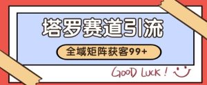 小红书某音塔罗赛道引流获客 自热矩阵日引200+【揭秘】-润泽资源库