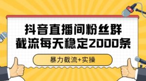 抖音直播间粉丝群暴力截流,一台电脑每天稳定2000条数据【揭秘】-润泽资源库