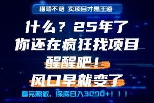 什么?25年你还在疯狂找项目做,醒醒吧,看完这些你全都懂了!【揭秘】-润泽资源库