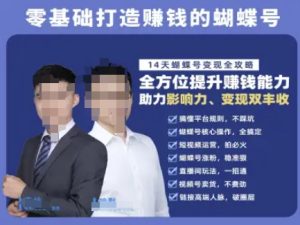 蝴蝶号专栏-视频号运营教程,零基础打造挣钱的蝴蝶号,14天蝴蝶号变现全攻略-润泽资源库