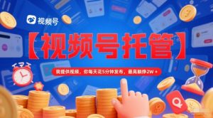 【视频号托管 】我提供视频,你每天花5分钟发布,最高躺挣2W+【揭秘】-润泽资源库