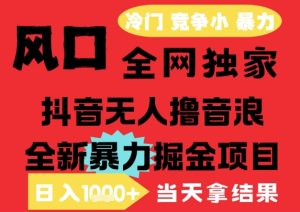25年6月高爆抖音无人直播最新撸音浪掘金项目，解放双手小白可做，无脑日入1k+，门槛低【揭秘】-润泽资源库