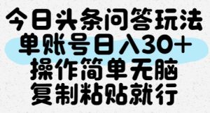 今日头条问答玩法，单账号日入30+，操作简单无脑复制粘贴就行-润泽资源库