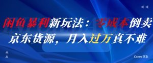 闲鱼暴利新玩法：零成本倒卖京东货源，月入过1W真不难-润泽资源库