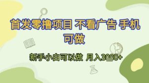 首发零撸项目 不看广告 手机可做 新手小白可以做  月入3k+【揭秘】-润泽资源库