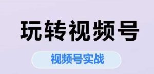 玩转视频号,视频号实战系列课-润泽资源库